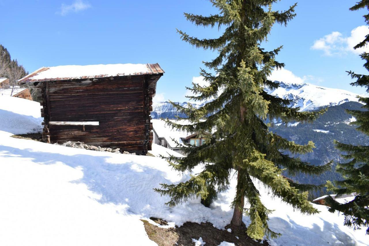 Sportlodge Mürren Eksteriør billede