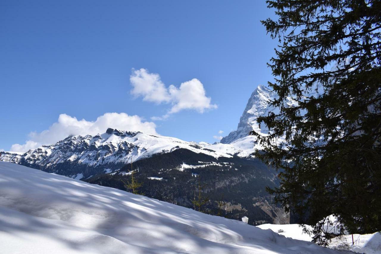 Sportlodge Mürren Eksteriør billede